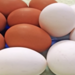 卵の色と値段の違いの理由…意外と知らない人が多かったと話題に…
